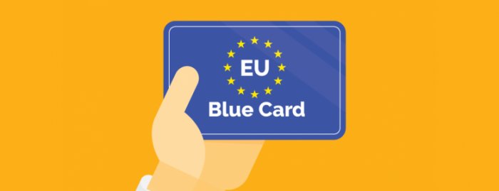 Mavi Kart Nedir? ( BLUE CARD – İş Arama Vizesi )